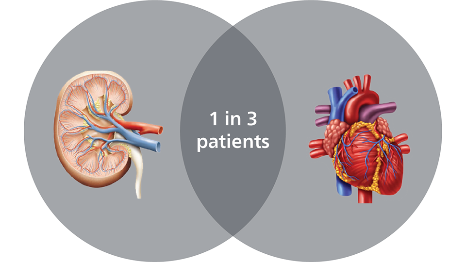 One in three patient venn diagram (download .png)